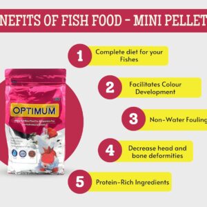 Optimum Fish Food - 500gm (Mini Pellet) | Highly Digestible