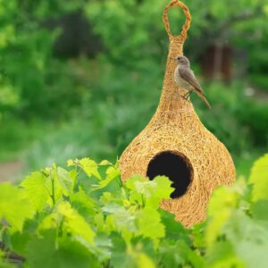 Natural bhaya Bird nest for Cages and breeding for All Medium,Small Birds with self adheshive Hanging Hooks Pack of 2