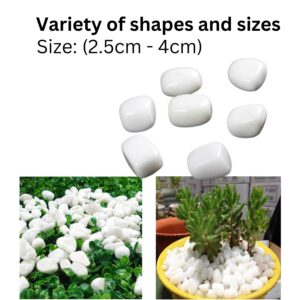 White Pebbles Glossy Stones - 2Kg (2.5cm - 4cm) | for Home Decorative, Vase Fillers, Aquarium Fish Tank