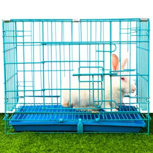 Door Dog Cage Easy to Move with Removable Tray Iron Cage Powder Coated for Dog & Rabbit 18 Inch Sky Blue