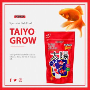 Exshanich TAIYO Grow Pellet Fish Food, 500g (Pack of 1) – Nutrition for All Life Stages