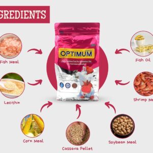 Optimum Fish Food - 500gm (Mini Pellet) | Highly Digestible