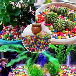 Colored Decorative Multicolor Stones - (3Kg, Small) for Home, Outdoor Decoration, Art & Craft, Vase Fillers, Aquarium, Fish Tank