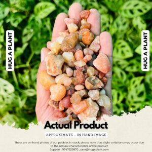 Mixed Gravel Big Aquarium Pebble Sand 1Kg for Decoration