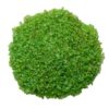 1KG] Sugar Sand Gravel Green Pebbles/Stones for garden