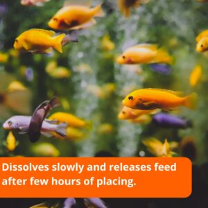 Taiyo Pluss Discovery Special Holiday Weekend Slow Release Feeder Tablet Fish Food for All Life Stages Tropical & Exotic Fishes