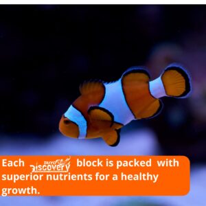 Taiyo Pluss Discovery Special Holiday Weekend Slow Release Feeder Tablet Fish Food for All Life Stages Tropical & Exotic Fishes