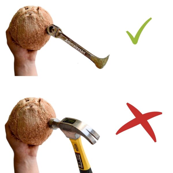 Ammaieesan Coconut Slicer Cutter | Breaker | Opener Cutter | Peeler | Cracker | Chopper with Strong Iron Handle Every Kitchen Pack of 1 (Yellow)